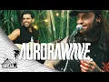 Download Lagu Aurorawave - Stratosphere (Live Music) | Sugarshack Sessions