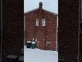 Steady snowfall falling on Snow Day in Pittsburgh - 25