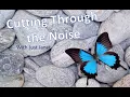 Cutting Through the Noise Muddy Water