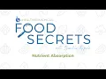 Food Secrets Nutrient Absorption