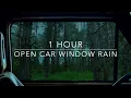 Download Lagu Open Car Window Rain - Rain On Car - Forest Rain - 1 hour Rain Sounds for Sleeping