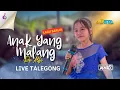 Download Lagu ANAK YANG MALANG - DE ALFI NEW ADISTA | LIVE TALEGONG