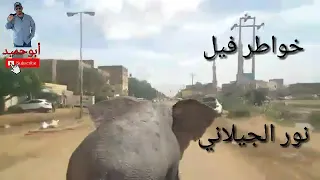 أغنية خواطر فيل قبضوني ليه نور الجيلاني  أغنية خواطر فيل قبضوني ليه نور الجيلاني