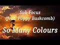 Sub Focus (feat. Poppy Baskcomb) - So Many Colours (lyrics)