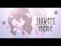 Flowers meme lazy