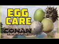 Egg Care for Pets Conan Exiles 2019