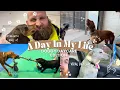 DAY IN THE LIFE DOGGY DAYCARE EDITION