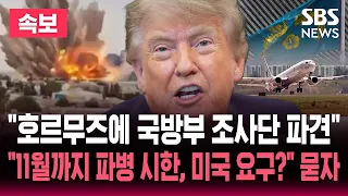 [🔴속보] 국방부 "호르무즈 현지 상황파악 위해 현지 조사단 파견"..'11월까지 파병 시한' 보도에 "미국 파견 시한 정해 요청..사실 아냐" 반박 / SBS 뉴스속보