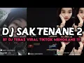 DJ SAKTENANE 2 SLOWED BY DJ TEBAZ VIRAL TIKTOK MENGKANE‼️