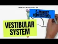 2-Minute Neuroscience Vestibular System