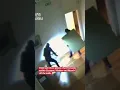 Masked burglars steal paintings from museum in under three minutes
