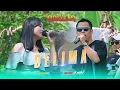 Download Lagu DELIMA - NURMA FT. CAK FENDIK | OM. ADELLA LIVE DUKUHTURI TEGAL