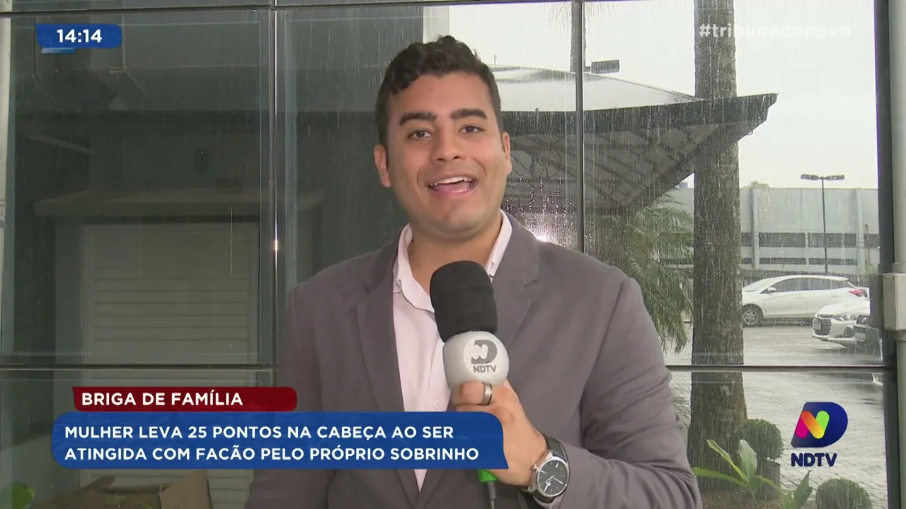 Briga de família: mulher leva 25 pontos na cabeça ao ser atingida com facão pelo próprio sobrinho