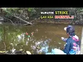 Download Lagu Ramai-Nya..!! Mancing saat sungai surut umpan jatuh langsung untuk rebutan 
