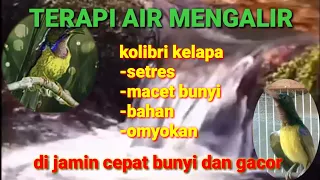 terapi air buat korlap macet bunyi korlap setres atau bahan omyokan d jamin cepat gacor