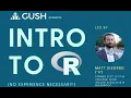 Introduction to R Workshop with Matt DiSorbo