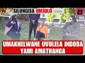 Download Lagu UMAKHELWANE UVULELA INDODAYAMI AMATHANGA