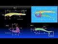Statics 7-2d Analysis of Machines
