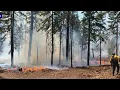 Wildfire at Warm Springs Reservation grows to 6 200 acres