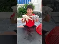 Download Lagu De manier waarop de jongen katten vangt #grappig #kort #kat #memes #komedie #animatie