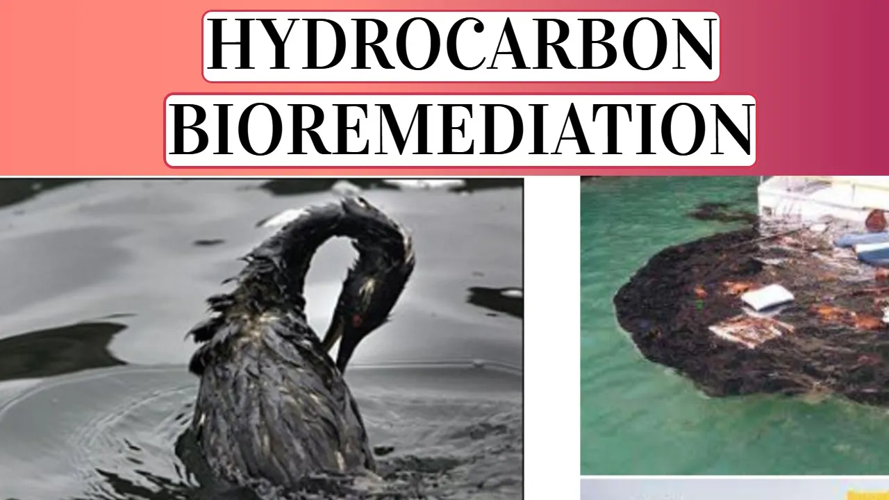 Hydrocarbon Bioremediation: Processes, Microbes, and Superbug Technology