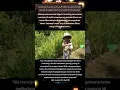 Download Lagu Allah SWT ciptakan langit tanpa tiang, ditempatkan gunung² di bumi