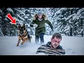 Download Lagu Female Veteran and Her K9 Found an Officer Buried Alive in the Woods—But His Whisper Broke Her Heart
