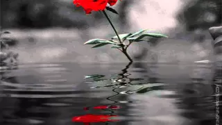 تامر عاشور كل شيء راح 