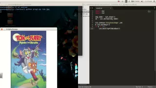 OpenCV programming with Python Linux - Installation and Working