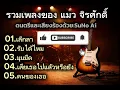 รวมเพลงของ แมว จิรศักดิ์ เลิกรา รับได้ไหม มุมมืด เสียเธอไปแล้วหรือยัง คนของเธอ cover2026