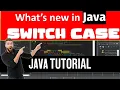 What is new in Java Switch Case Java Tutorial by Professor Saad Yousuf