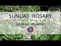 Download Lagu Rozenkrans op zondag • Glorieuze geheimen van de Rozenkrans ❤️ 29 juni 2025 - Meerdere talen besc...