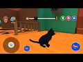 Bad Cat Simulator Prank Gran - Gameplay Walkthrough Part 1 Android iOS