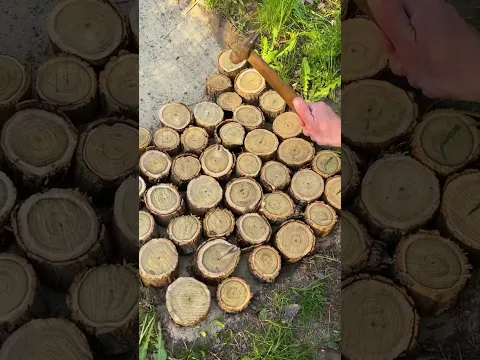 Beautiful Wooden Path