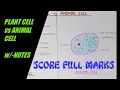 How to DRAW COLOR PLANT CELL vs ANIMAL CELL COMPARISON w -NOTES EASY SCIENCE Step by step