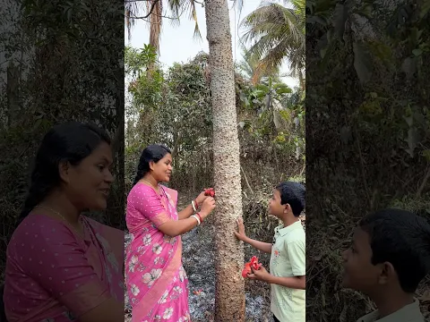 লাল ফুলে প্রকৃতি হাসছে 😀#shortvideo