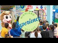 Experience Cheeky Monkeys