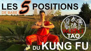 Download FIVE KUNG FU STANCES | Tutorial | Wushu Tao MP3