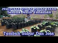 Download Lagu APA PUN TAMAMANNYA, PUPUKNYA SAMA