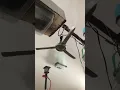 Download Lagu See also the ceiling fan gone wild to here 🤣#ceilingfan  #youtubeshorts