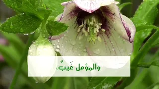 الدنيا فانيا و الآخرة باقية   صالح الفوزان حفظه الله دندنها