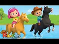 Cancion 5 Caballos Canciones infantiles divertidas Cinco Caballos para Ninos