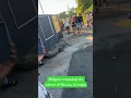 Alligator roaming the streets of Macon Georgia 2025