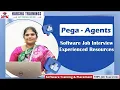 Job Scheduler Queue Processor Agents Real Time PEGA Interview For Training 91 - 9652532753
