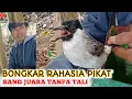 Download Lagu Bongkar rahasia perawatan PIKAT KUTILANG CENGKRAM LEPAS TALI langsung ke Pemilik sbg juara Favorit