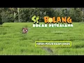Download Lagu [FULL] Hiruk Pikuk Buah Jeruk | SI BOLANG (13/06/25)