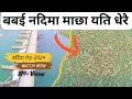 Lagu The Mystery of Babai River ।। Babai river Bardiya