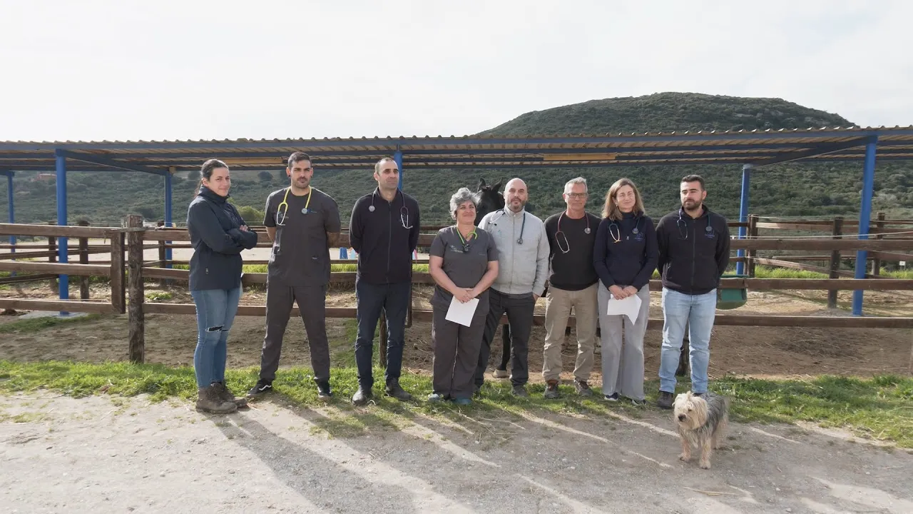 Los veterinarios dicen basta y piden que la salud animal no sea un lujo