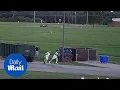 Houston County inmates stage escape while taking out trash