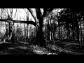 Download Lagu Livpest - Pure Blood (Goatmoon Cover)
